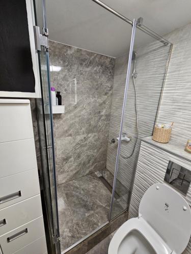a bathroom with a shower and a toilet at Booking Apartment Rajiceva in Belgrade