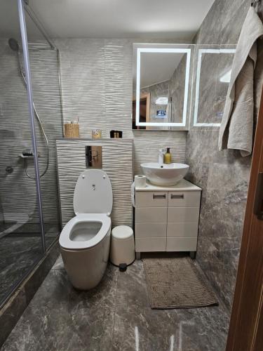 a bathroom with a toilet and a sink and a shower at Booking Apartment Rajiceva in Belgrade