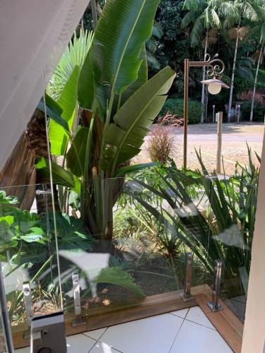 a garden with a bunch of plants in a room at Pousada Reserva Penedo in Penedo