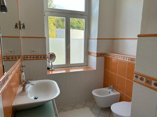 a bathroom with a sink and a toilet and a window at Zahradni in Karlovy Vary