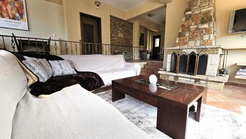 a living room with a couch and a fireplace at Lithos Villas Kalavryta in Kalavrita