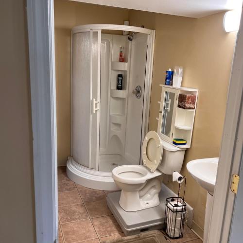 a bathroom with a shower and a toilet and a sink at The McNeil Mansions in Harrisburg