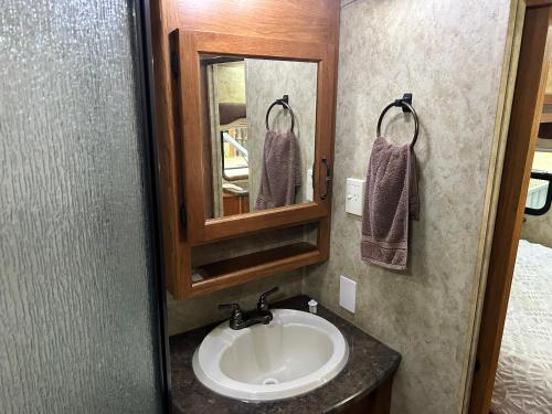a bathroom with a sink and a mirror at Well Appointed American Style Park Home in Kempsey