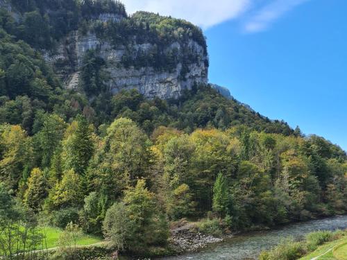 una montaña con un río y árboles en primer plano en Muota River & Industry Apartment by Nature Apartments Switzerland en Muotathal