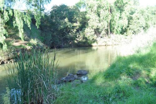 a body of water with some grass and trees at Strawbale House Bacchus Marsh in Bacchus Marsh