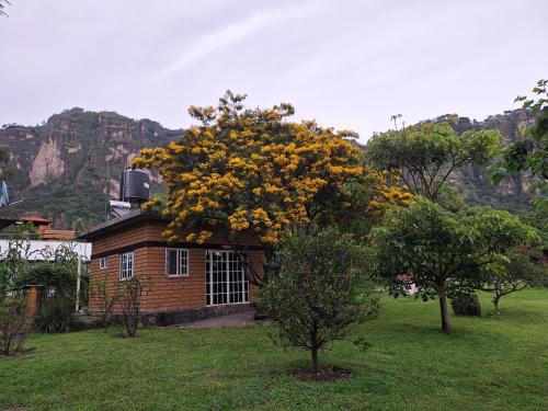 Posada Meztitla – Photos 2