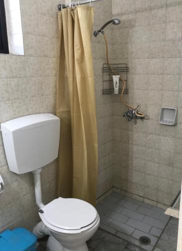 a bathroom with a toilet and a shower at Tiros Apartments Armonia in Tyros