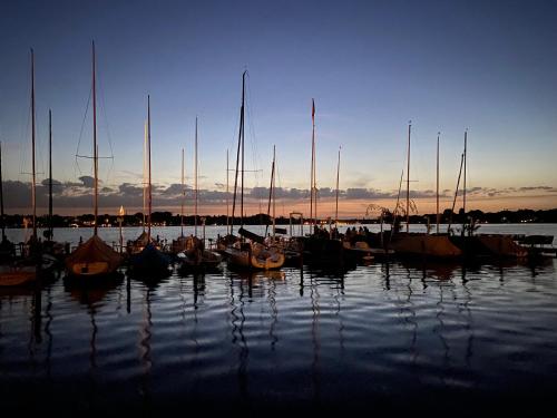 a group of boats are docked in the water at Platz, Natur, Lüneburg - Villa Heidberg in Bienenbüttel