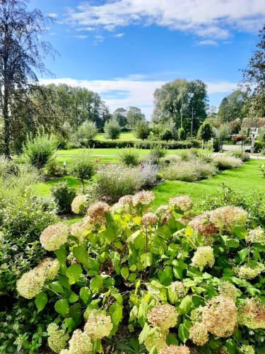 a garden with flowers and plants in a field at Domaine de la Course in Doudeauville