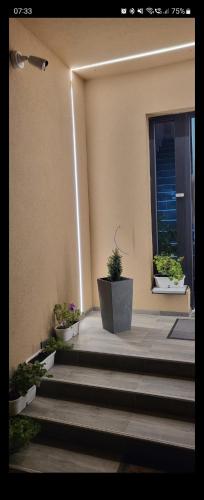 Ein Garten an der Unterkunft Apartman Bajka