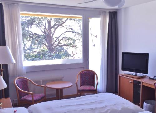 ein Hotelzimmer mit einem Bett und einem Fenster mit einem Baum in der Unterkunft Fontana Budget in Twann