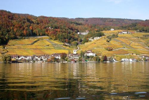 a view of a lake with a town and houses at Fontana Budget in Twann