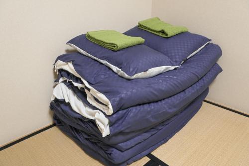 Duas camas individuais empilhadas uma em cima da outra em Lodging Tokyo Shibamata em Tóquio