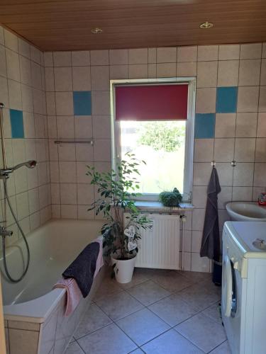 a bathroom with a tub and a window and a plant at Martha in Langenchursdorf