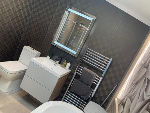 a bathroom with a toilet and a sink and a mirror at Muscovy Lodge with Hot Tub at Tattershall Lakes Country Park in Tattershall