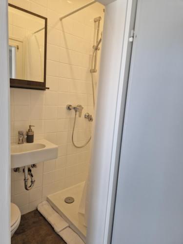 W łazience znajduje się prysznic, toaleta i umywalka. w obiekcie VringsVeedel w Kolonii
