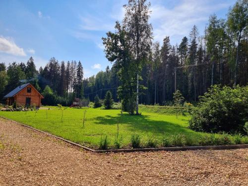 een groen veld met een houten huis op de achtergrond bij Atpūtas māja Kaktiņi Rīga in Ikšķile