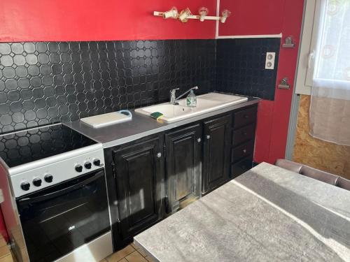 una cocina con fregadero y estufa en Villa Lenotre, en Bourges