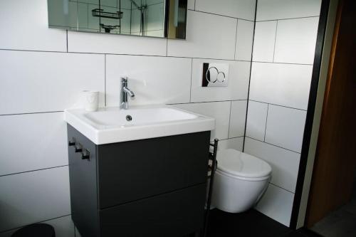 a white bathroom with a sink and a toilet at De Morgenzon 