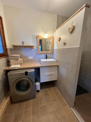 uma casa de banho com uma máquina de lavar roupa e um lavatório em Appartement 90 m2 proche de Corte em Soveria
