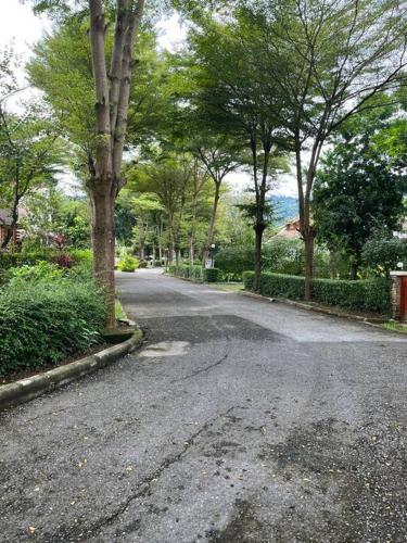 an empty street with trees on the side of it at KhaoYai Treescape Retreat คอนโดบ้านชลธารเขาใหญ่ 2 ห้องนอน 2ห้องน้ำ 88ตารางเมตร ถนนธนะรัชต์ in Ban Tha Maprang