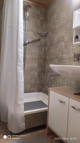 een badkamer met een douche en een wastafel bij Le Charlot in Saas-Grund