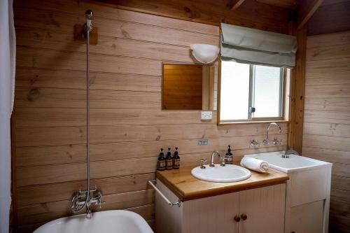 ein Badezimmer mit einem Waschbecken, einem WC und einem Spiegel in der Unterkunft The Hideout Cabin in Woodbridge