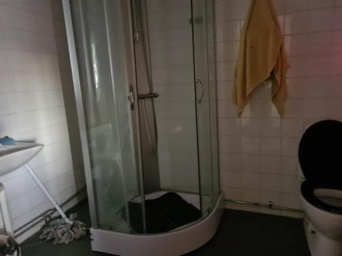 a shower in a bathroom with a toilet and a sink at Mattmar vila 