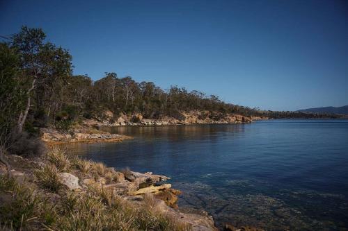 a large body of water with trees on the shore at Killora Coastal Shack in Killora