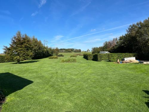 um grande quintal com relva verde, arbustos e árvores em Luksus Shelter med vildmarksbad em Flemming