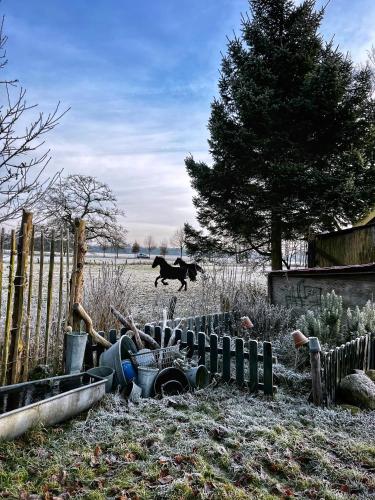 a black dog jumping in the air over a fence at B&B Zandhuizen in Zandhuizen