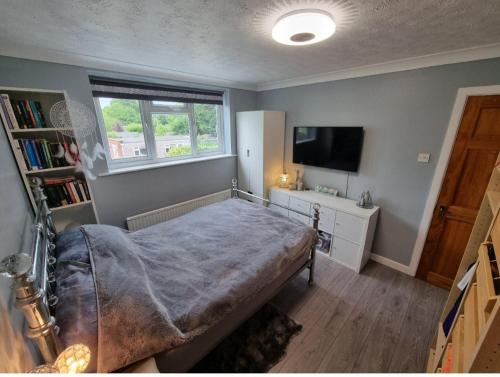 een slaapkamer met een groot bed en een televisie bij Guest house in Longham