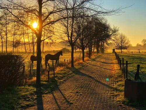 a horse standing next to a tree on a dirt road at B&B Zandhuizen in Zandhuizen