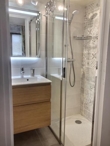 La salle de bains est pourvue d'une douche avec un lavabo et un pommeau de douche. dans l'établissement Le Saint Claude, à Paris