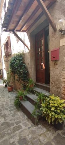 ボルセーナにあるIl vicolettoの木の扉と植物のある家