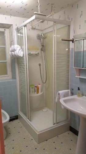 y baño con ducha y lavamanos. en Le Gîte au Pied du Château de Chaumont, en Chaumont-sur-Loire