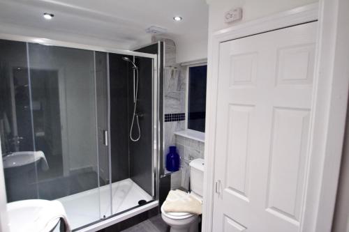 baño con ducha, aseo y puerta de cristal en Mill Lane Refurbished 2 Bedroom Apartment en Newbury