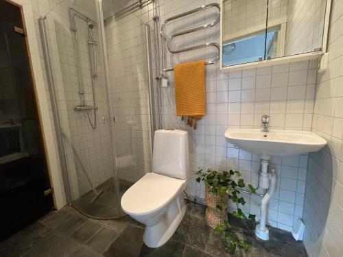 y baño con aseo y lavamanos. en Åre Travel - Mörviksgården en Åre