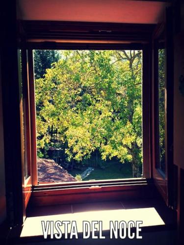a window with a view of a tree at The house in the paradise of Serra. in Chiusi della Verna