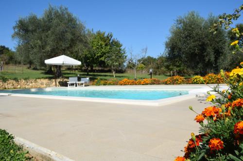 a swimming pool with an umbrella and some flowers at I Massi in San Michele in Teverina