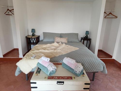 ein Bett mit zwei Kissen auf einem Zimmer in der Unterkunft Villa Melina lafattoriasecondonoi in Casa Criscione