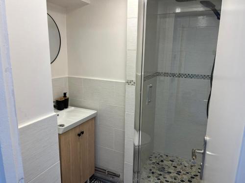a bathroom with a shower and a sink at Superbe appartement refait à neuf in Montlhéry