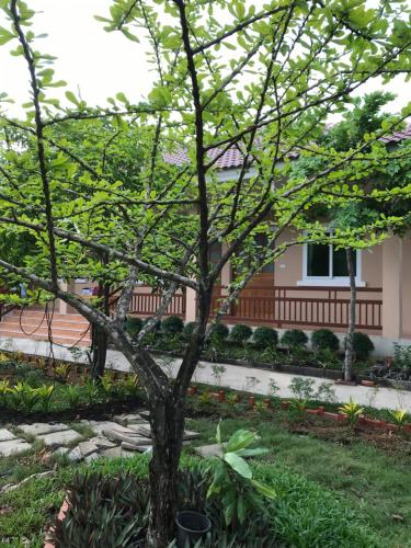 a tree in the yard of a house at Sripiamsuk Resort Bangkok in Pathum Thani