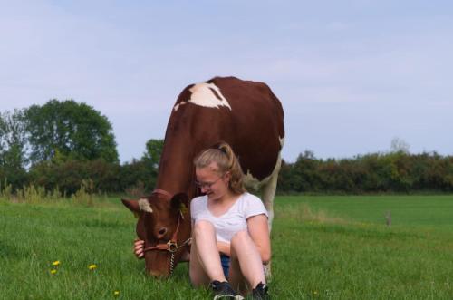 a young girl sitting next to a cow in a field at Dorfblick vom Muckesberg in Lübeck