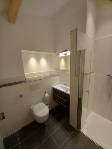 W łazience znajduje się toaleta, umywalka i prysznic. w obiekcie Dorfblick vom Muckesberg w Lubece