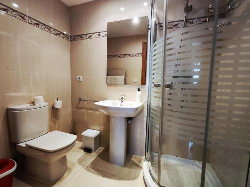 La salle de bains est pourvue de toilettes, d'un lavabo et d'une douche. dans l'établissement Apart. Casa Juaneta Pirineo-Ordesa, à Broto