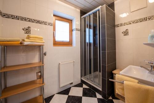 Koupelna v ubytování Apartment Bacher Nr.4