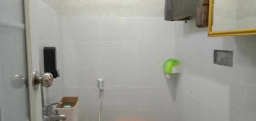 - une salle de bains carrelée de blanc avec un objet vert sur le mur dans l'établissement Radiya Guesthouse, à Sembalun Lawang