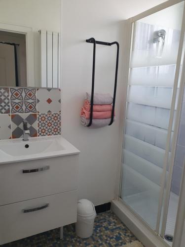 une salle de bain avec une douche, un lavabo et un miroir dans l'établissement Charmante maison familiale, à Montoire-sur-le-Loir