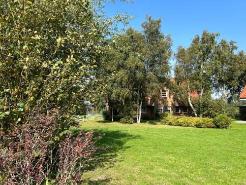 un patio con árboles y una casa al fondo en Ferienwohnung Moby Dick, en Ording